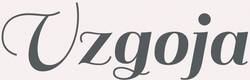 Logo Vzg
